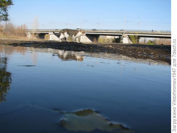 Решительный выход...