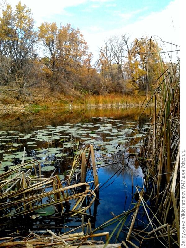 Одно из любимых озёр.