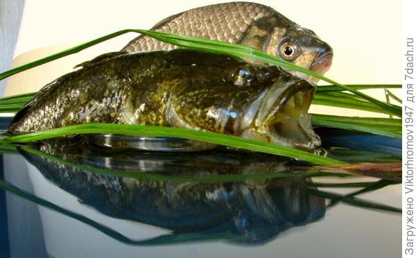 Это мы вместе (фото на память)