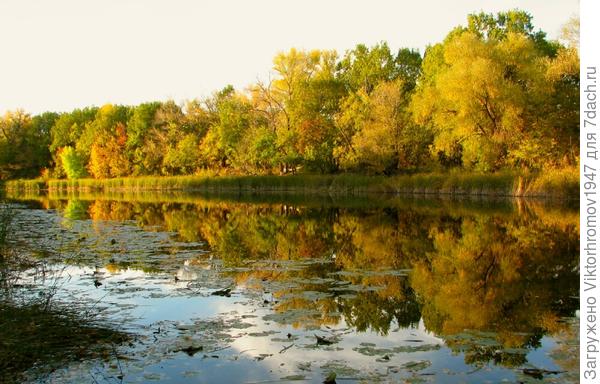и УТРО ДОБРОЕ -- ЗОЛОТОЕ