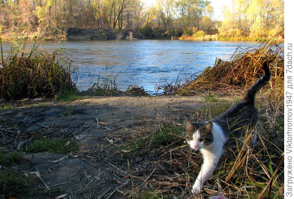 Я местная...