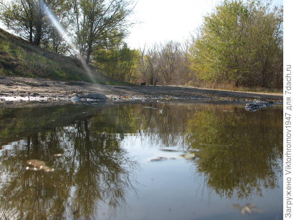 Луч Солнца в тёмном царстве...