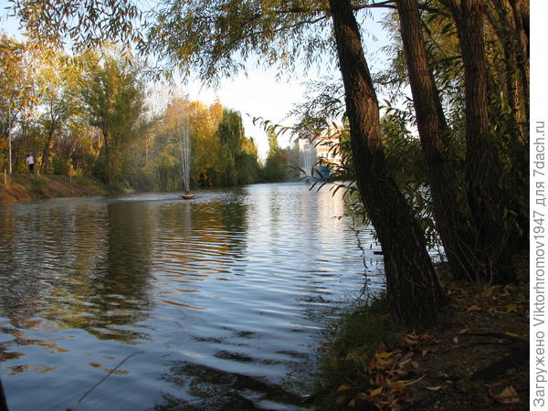 Фонтаны на воде...