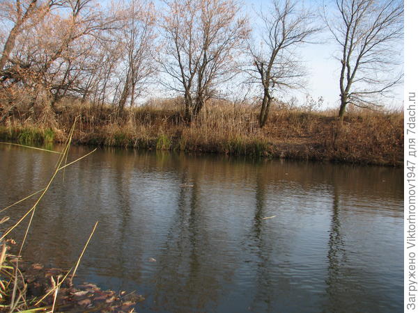 Осенью в плохую погоду ловятся небольшие налимчики.