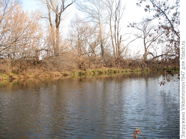 Это обычная полевая речка