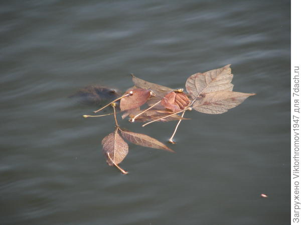 Даже красиво!