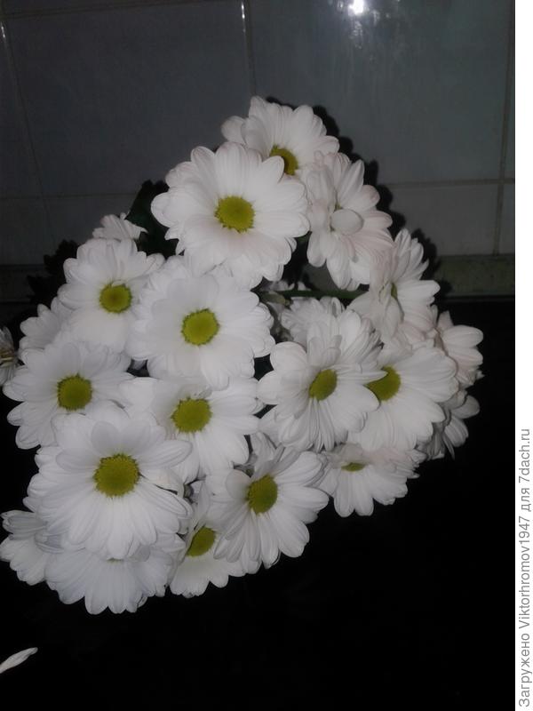 Всех Благ!!!