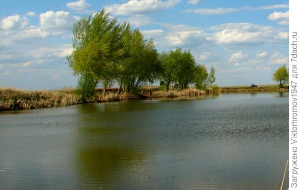 Зимой будем вспоминать поклёвки на Сазаньем пруду.