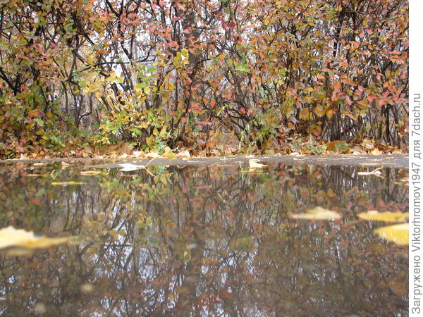 Парковый заборчик разноцветными красками привлекает взор...