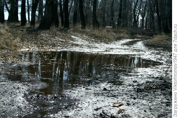 Скоро снежок прикроет и эти отражения...