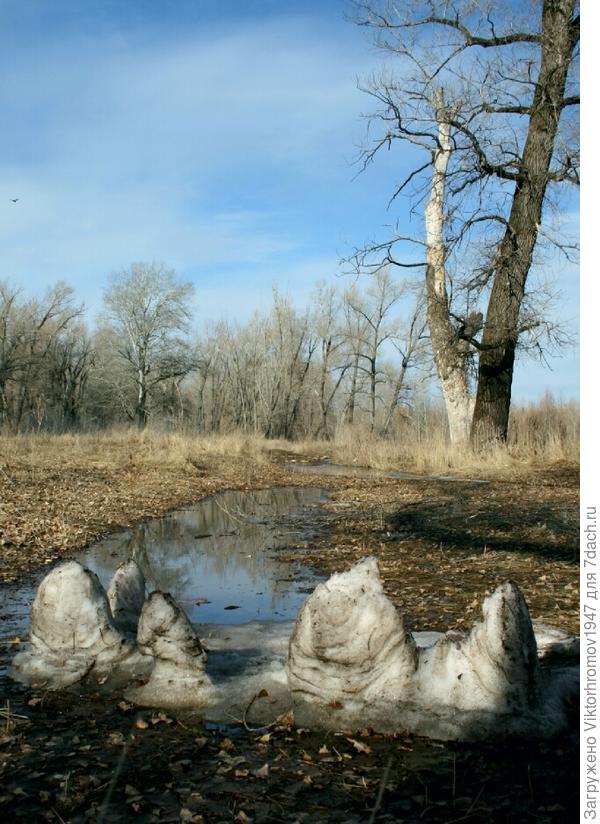 Странные наросты у ледяной лужи.
