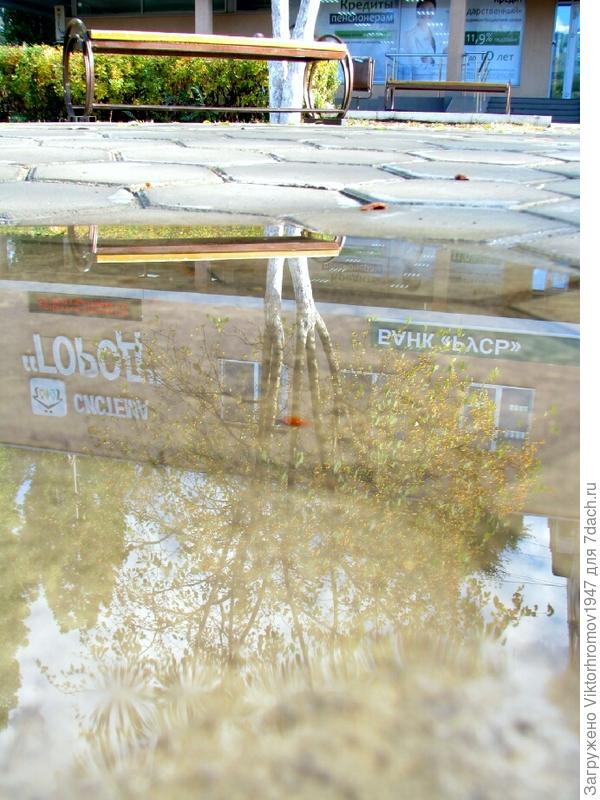 Пока снега нет ледок отражает скамеечку