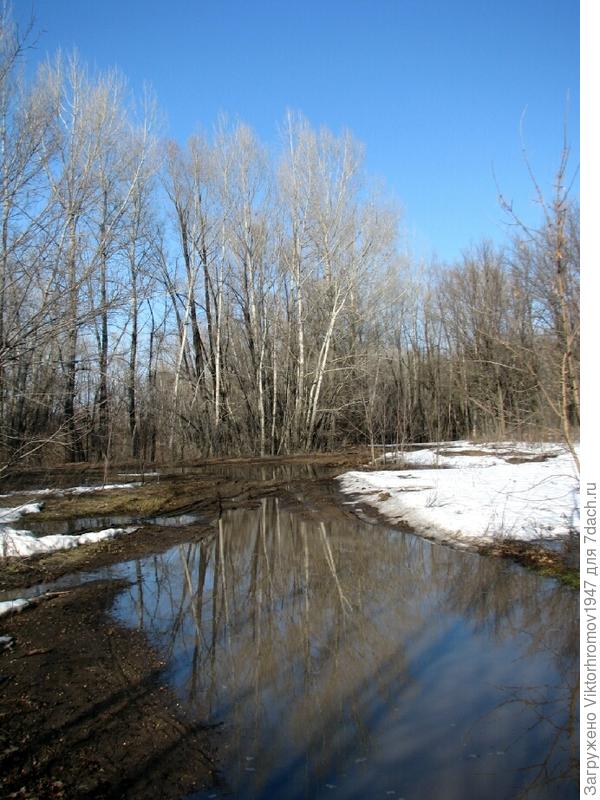 И поздняя осень бывает красивой!