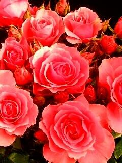 Желаю Счастья и Удачи!!!