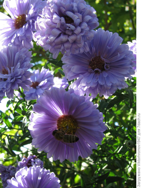 С Днём рождения!