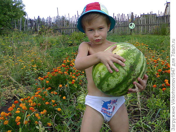 Ну... Очень сладкий!