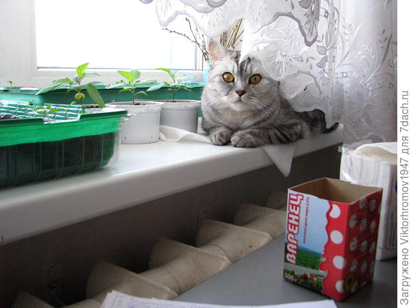 Сезон начался!