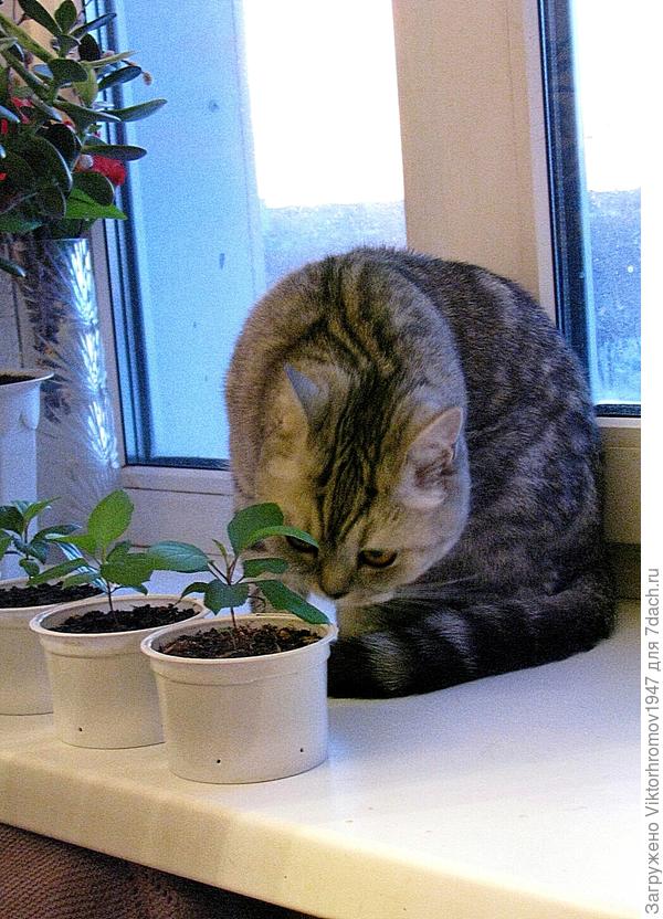 Уже 2 марта.