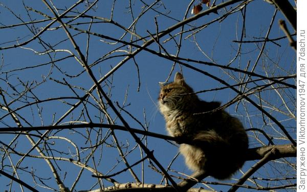 Пора с лазить и присоединяться!