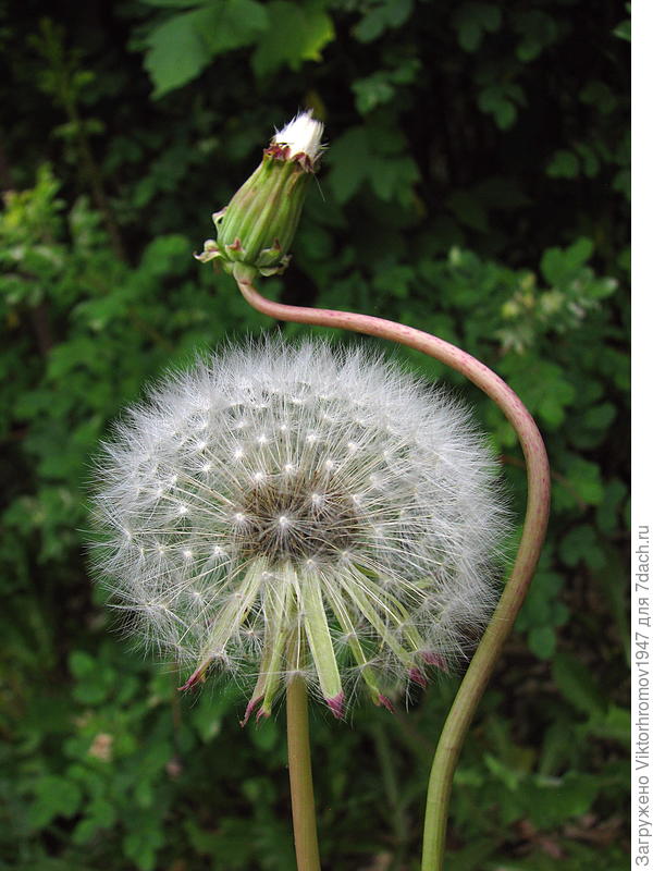 Не спеши! Подумай!...Завтра улетим вместе.