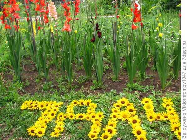 Но как видите ваши Семидачные!