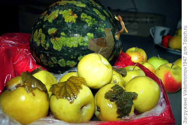 ...Ирина, я думал это вам завтра к обеду. Извините, маху дал.