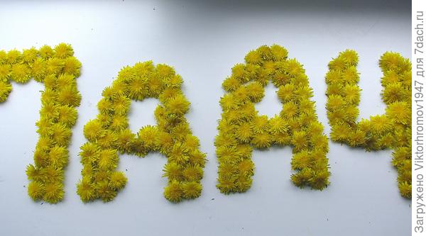 ...Любимый Слоган!