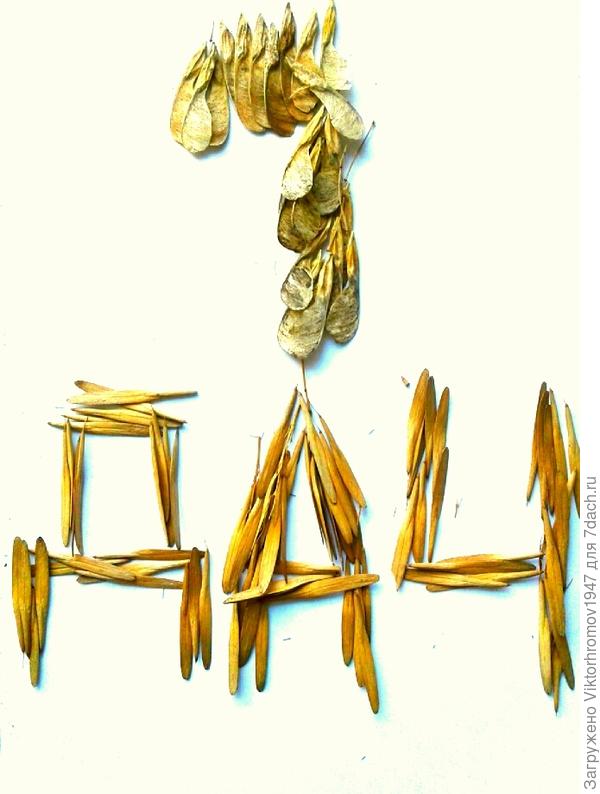 Мальчишечья радость...