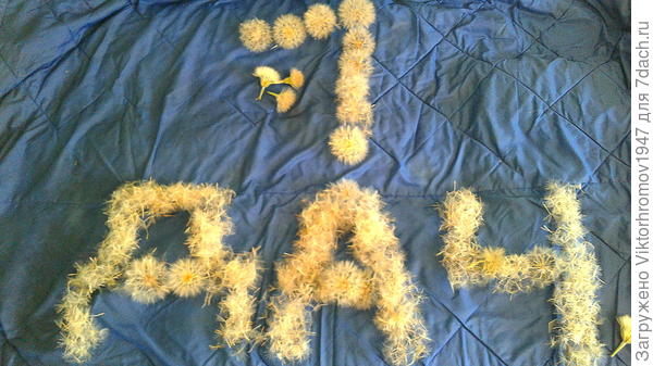 А Семидачникам Медовое варенье!