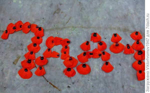 Маковых лепестков...