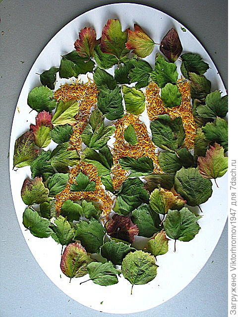 ...Золотых лепестков Календулы.