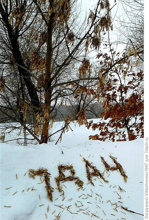 ...Намело! Но очень красиво!