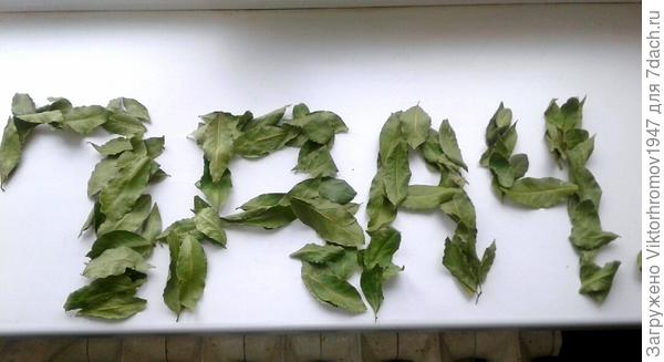 Из рецептов М. Бахаревой.