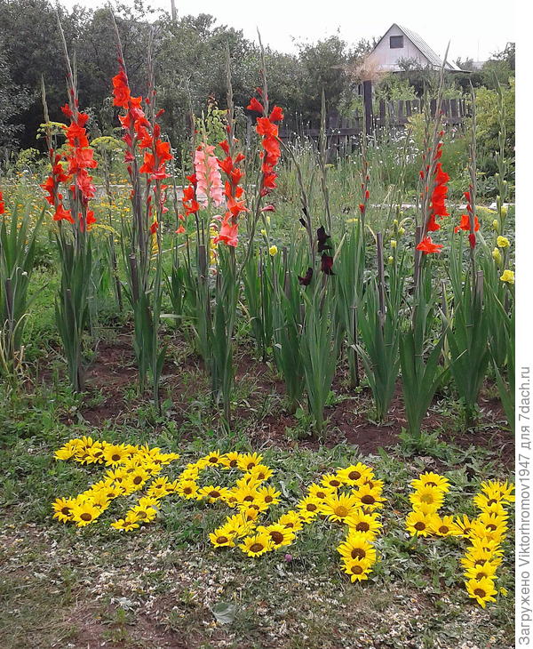 Прекрасном!