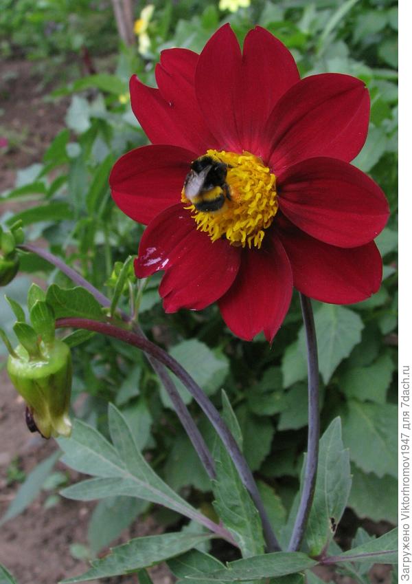 Будьте собой, Вы прекрасны!
