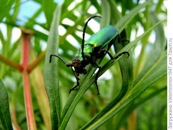 Извините! У меня на даче проблемы с интернетом.