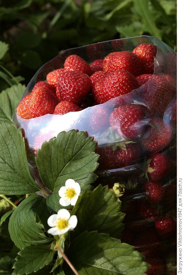 Нас устраивает.