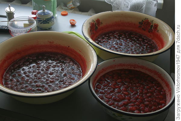 А это варенье из только, что собранной клубники. Готовит супруга прямо на даче. Собрано за один раз. Очень вкусно! Всего Доброго! Я ни кого не уговариваю, а поделился своим опытом.