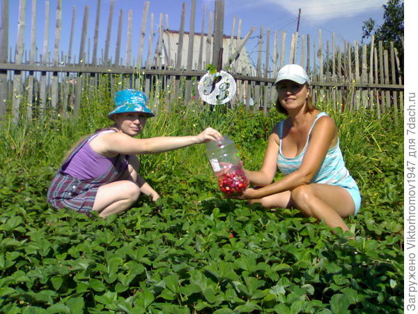 ...Вот ответ. Это мои младшие и мне кажется - они довольны. Снимок 6 июля.