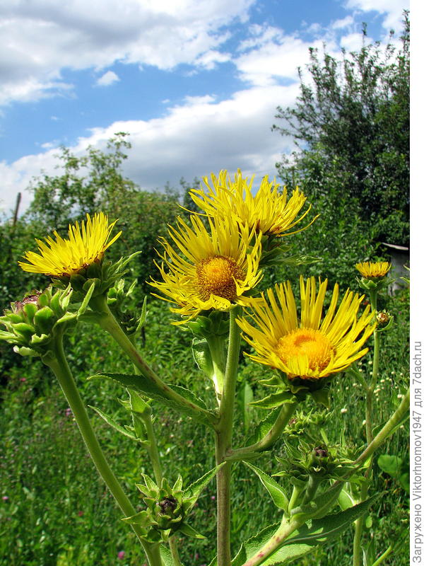 Правильным курсом идёте ТОВАРИЩИ! С Днём Рождения! Удачи!