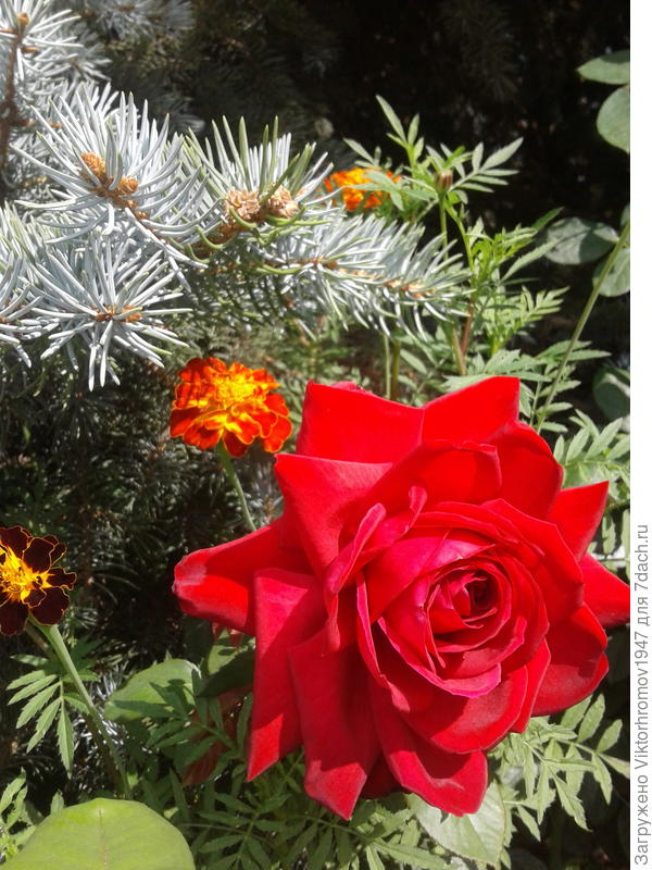 Счастья Вам! Здоровья и Удачи!