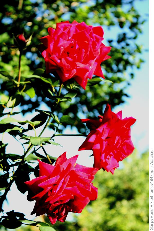 Будьте СЧАСТЛИВЫ!!!