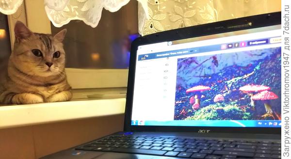 Нашим Победительницам громкое УРА!!! и пожелание дальнейших успехов!!!