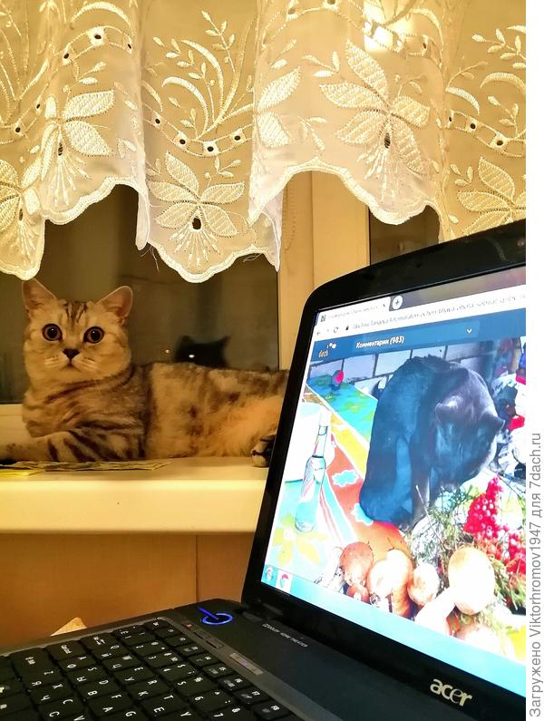 София, дальнейших Вам Успехов!!!