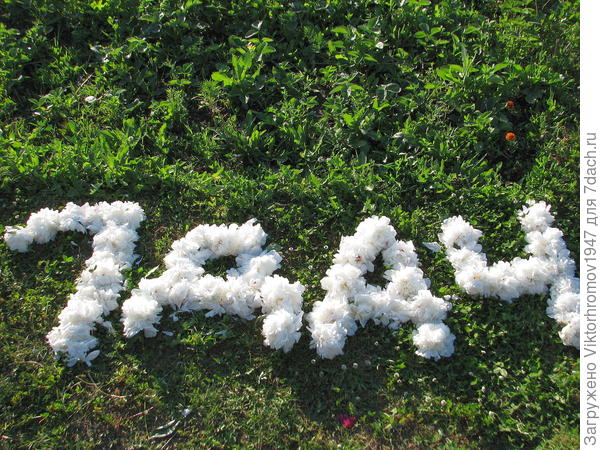 ЛУЧШИЙ !!!... в мире сайт!!!