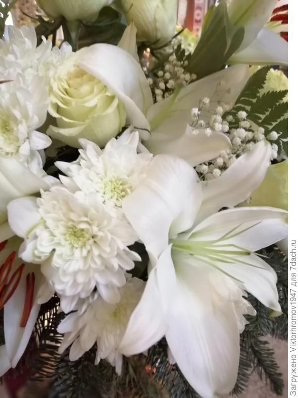 Здоровья! Счастья! Удачи!!!