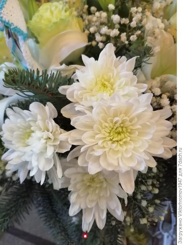 Счастья Вам и Удачи!!!