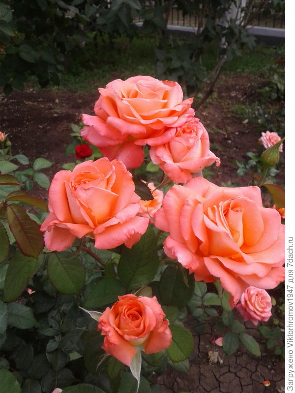 Удачи! Успехов! Улыбок!