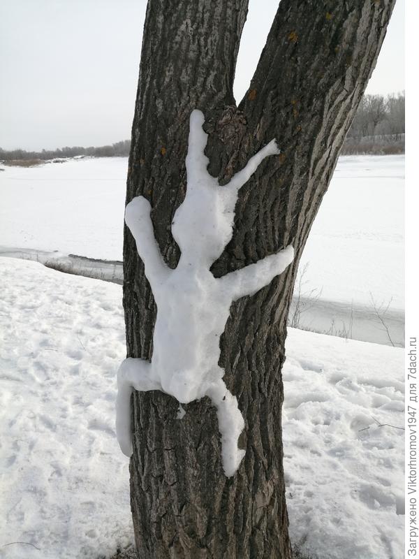 Даже мокрые зайчики полезли на деревья.