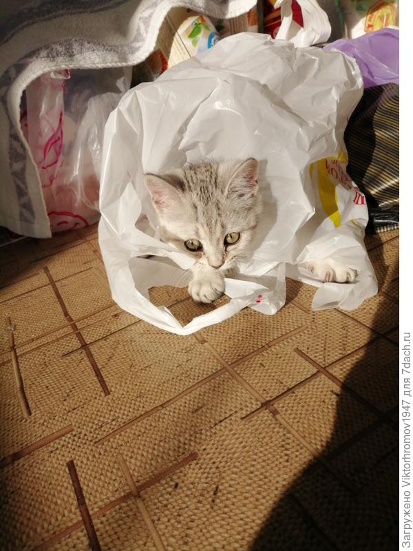 Защита от короновируса